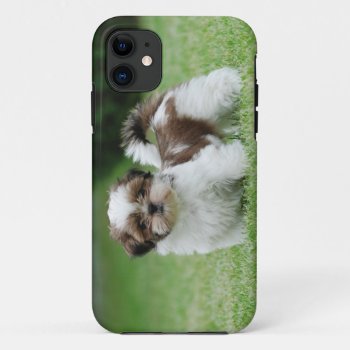 Shih Tzu Puppy Iphone 11 Case by petsArt at Zazzle