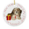 Shih Tzu Puppy First Christmas
