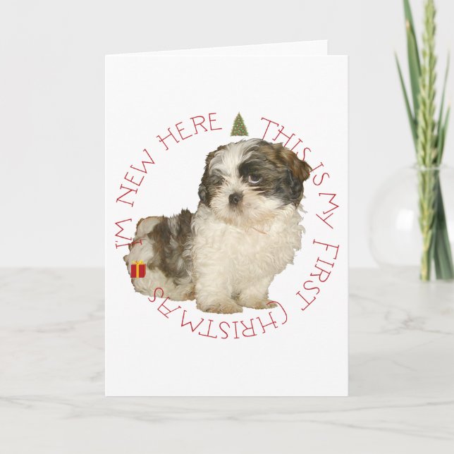 Shih Tzu Puppy First Christmas Holiday Card (Front)