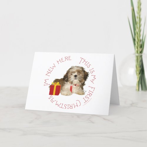Shih Tzu Puppy First Christmas Holiday Card