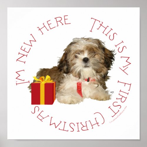 Shih Tzu Puppy First Christmas Poster