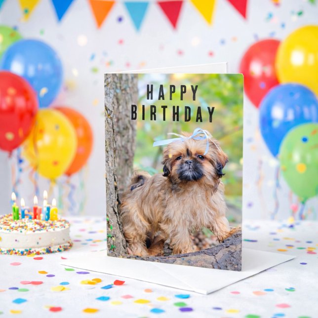 Shih Tzu Puppy Happy Birthday Card Cute Dog (Happy Birthday Shihtzu Puppy Dog Card)