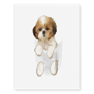 Shih tzu puppy in pocket Gift Temporary Tattoos
