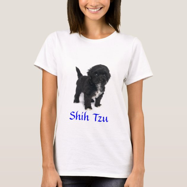 babydoll shih tzu