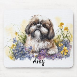 Shih Tzu Puppy 