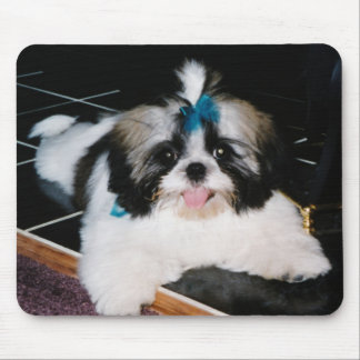 Shih-Tzu Puppy Mousepad