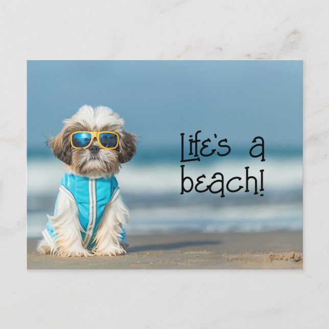 Shih Tzu Puppy wearing sunglasses Postcard (Front)