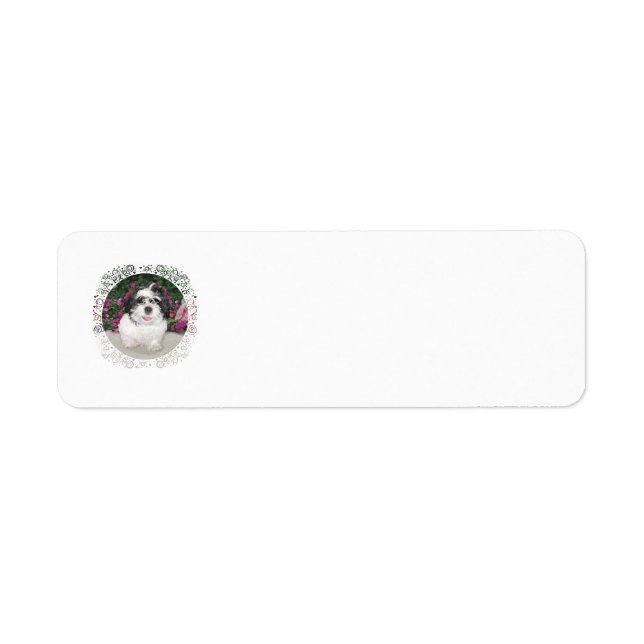 Shih Tzu Rescue Address Labels (Front)