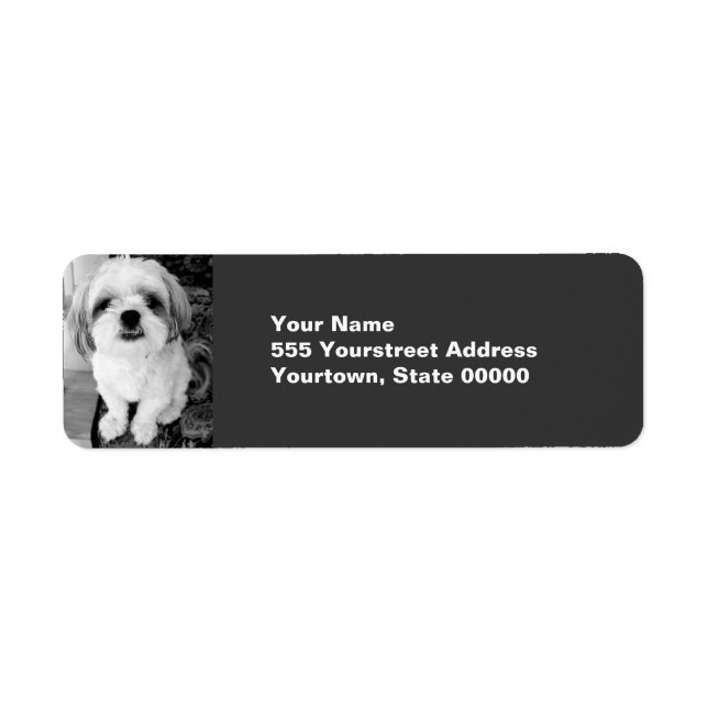 Shih Tzu Return Address Labels (Front)