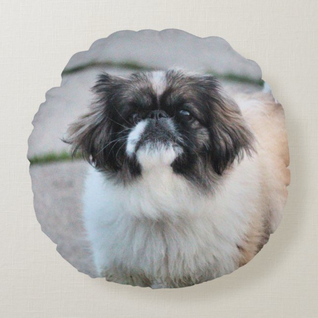 Shih Tzu Round Pillow (Front)