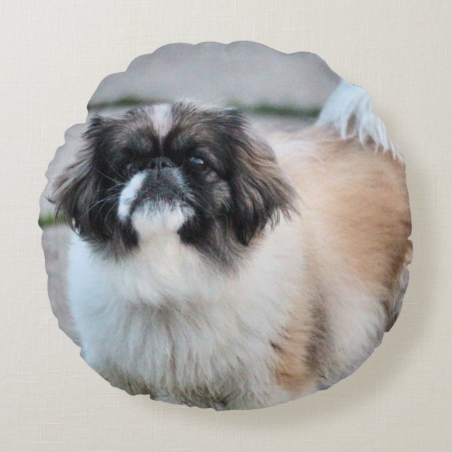 Shih tzu round pillow (Front)