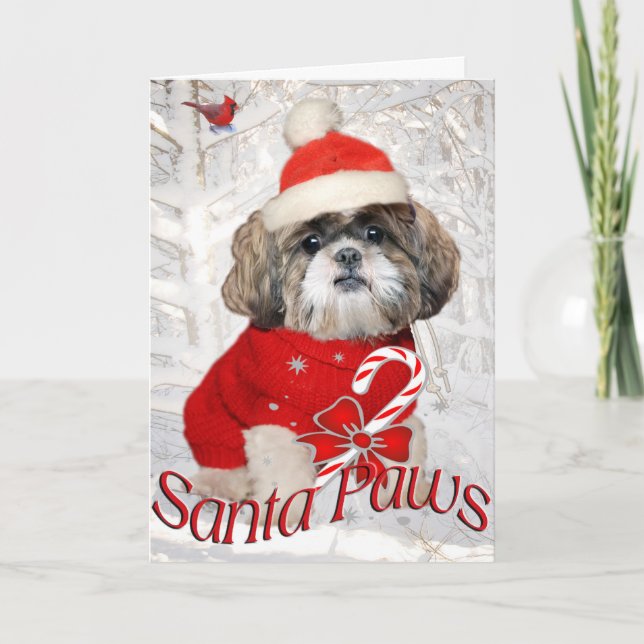 Shih Tzu Santa Paws Cards (Front)