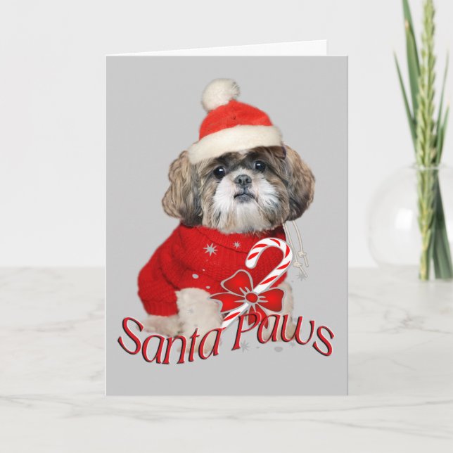 Shih Tzu Santa Paws Cards (Front)