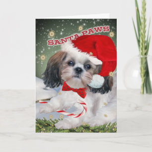 Shih Tzu Santa Paws Christmas Cards