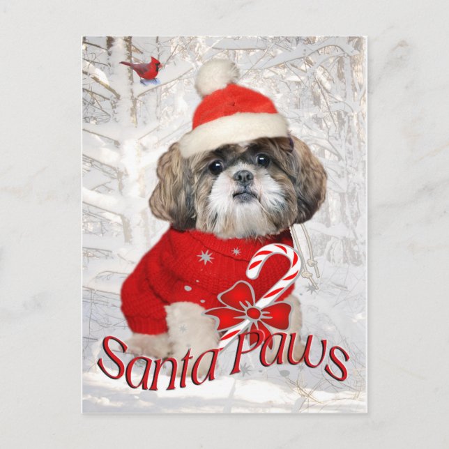 Shih Tzu Santa Paws gifts Holiday Postcard (Front)