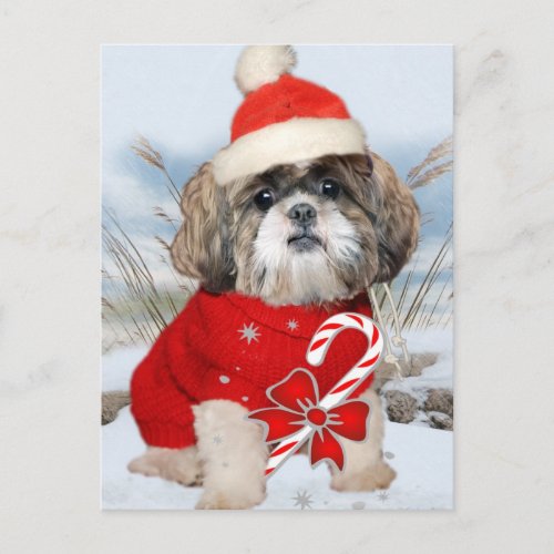 Shih Tzu Santa Paws gifts Holiday Postcard