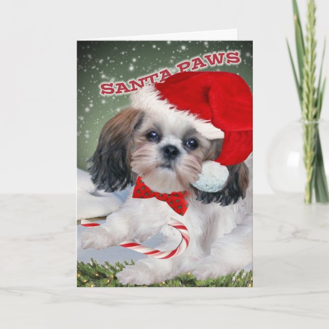 Shih Tzu Santa Paws Holiday Card (Front)