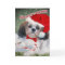 Shih Tzu Santa Paws