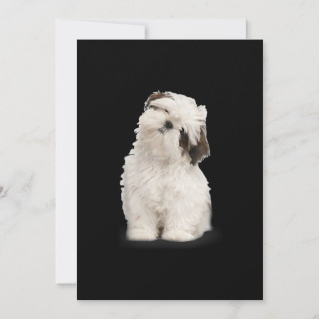Shih Tzu | Shih Tzu Puppy Gift Thank You Card (Front)