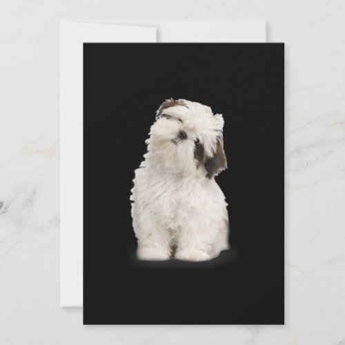 Shih Tzu  Shih Tzu Puppy Gift Thank You Card