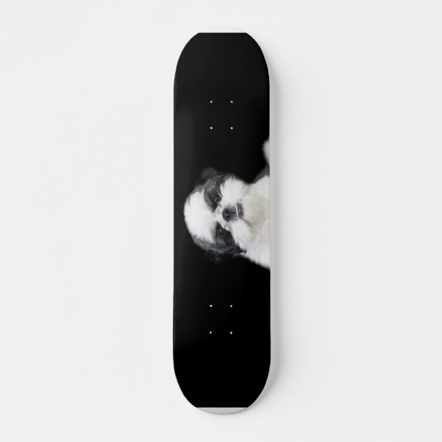 Shih Tzu skateboard (Front)