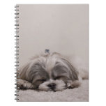 Shih tzu Sleeping Dog Notebook