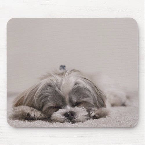 Shih tzu Sleeping Mousepad  Sleeping Dog