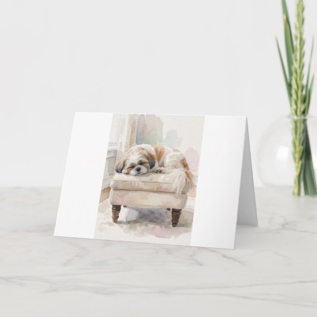 Shih Tzu Collection — preview