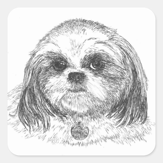 Shih Tzu Square Sticker (Front)