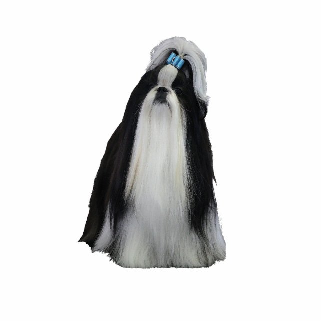 Shih Tzu Statuette (Front)