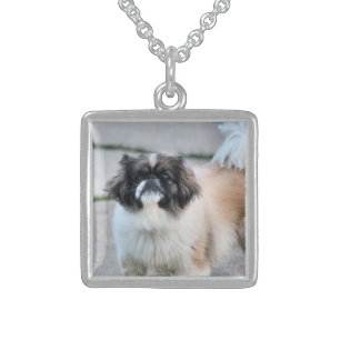 Shih Tzu Sterling Silver Necklace