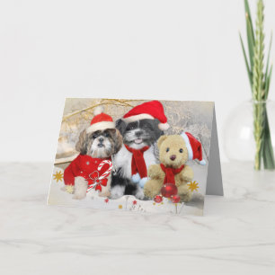 Shih Tzu & Teddy Bear Xmas Card