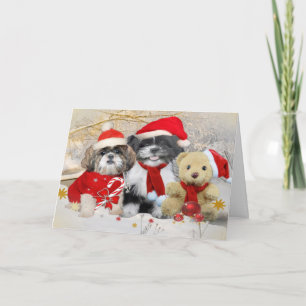 Shih Tzu & Teddy Bear Xmas Card