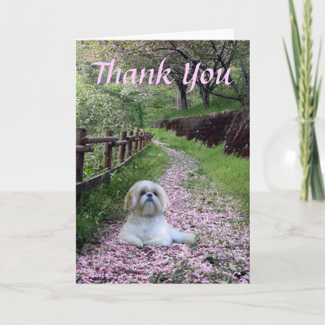 Shih Tzu Thank You Card (Front)
