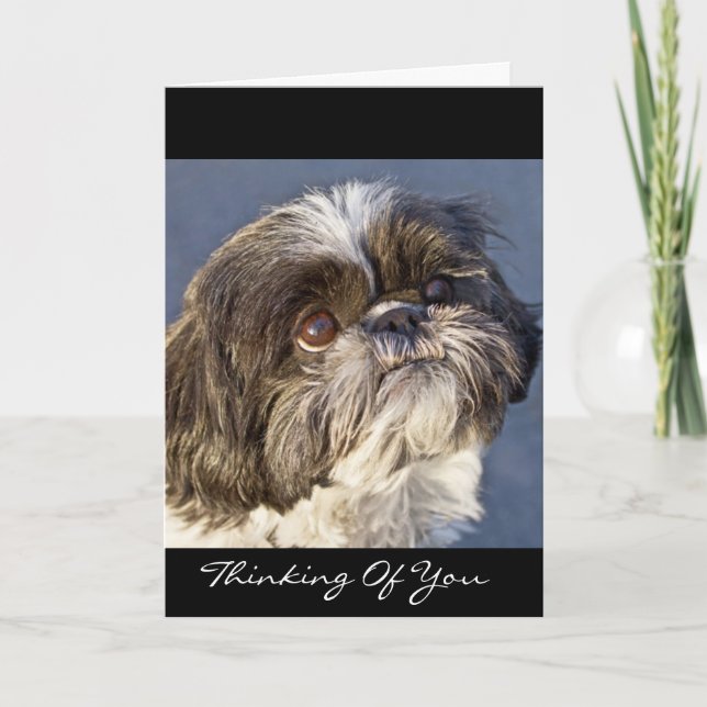 Shih Tzu Thinking of You Greeting Card - Verse (Front)