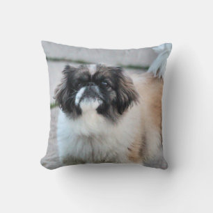 Shih Tzu Throw Pillow