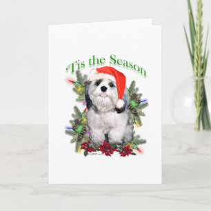Shih Tzu 'Tis the Season Holiday Card