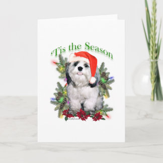Shih Tzu 'Tis the Season Holiday Card