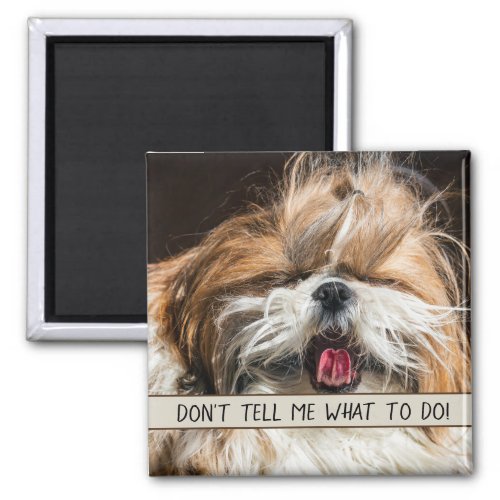 Shih tzu tongue funny Dont tell me what to do Magnet