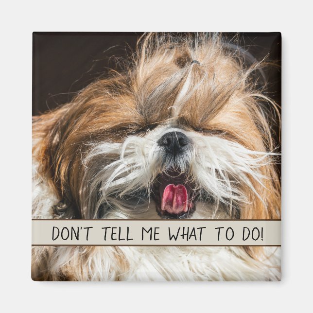 Shih tzu tongue funny Don't tell me what to do Magnet (Front)