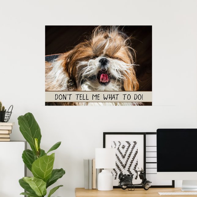 Shih tzu tongue funny Don't tell me what to do Poster (Home Office)