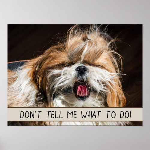 Shih tzu tongue funny Dont tell me what to do Poster