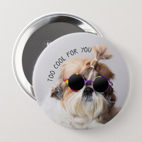 Shih Tzu Too Cool for you Sunglasses Photo Button