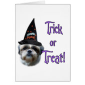 Shih Tzu Trick (Front)