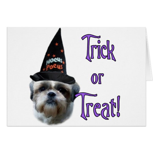 Shih Tzu Trick (Front Horizontal)