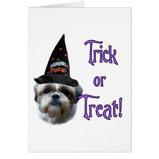 Shih Tzu Trick Cards (Front)