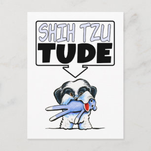 Shih Tzu Tude Postcard
