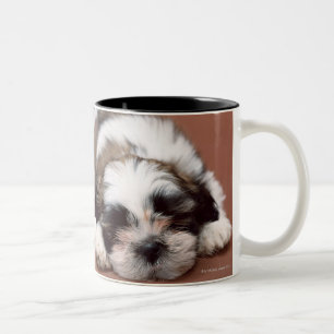 Shih Tzu Two-Tone Coffee Mug