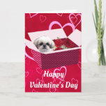 Shih tzu Valentine's Day Card, Dog Holiday Card