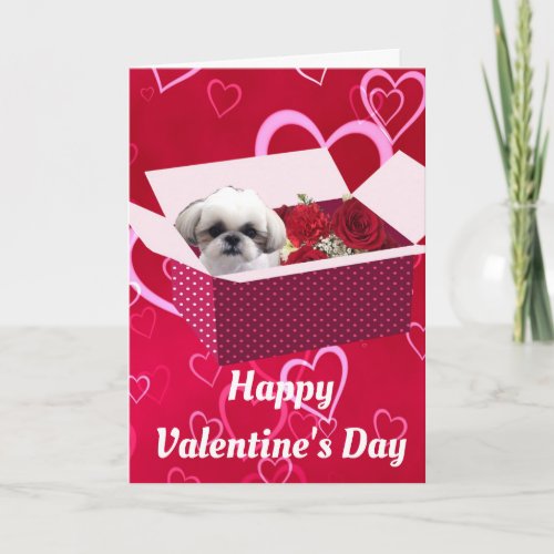 Shih tzu Valentines Day Card Dog Holiday Card